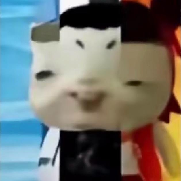 郑永鸡的康毛