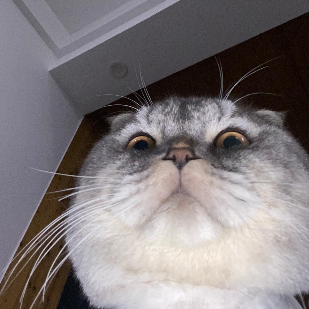 keke