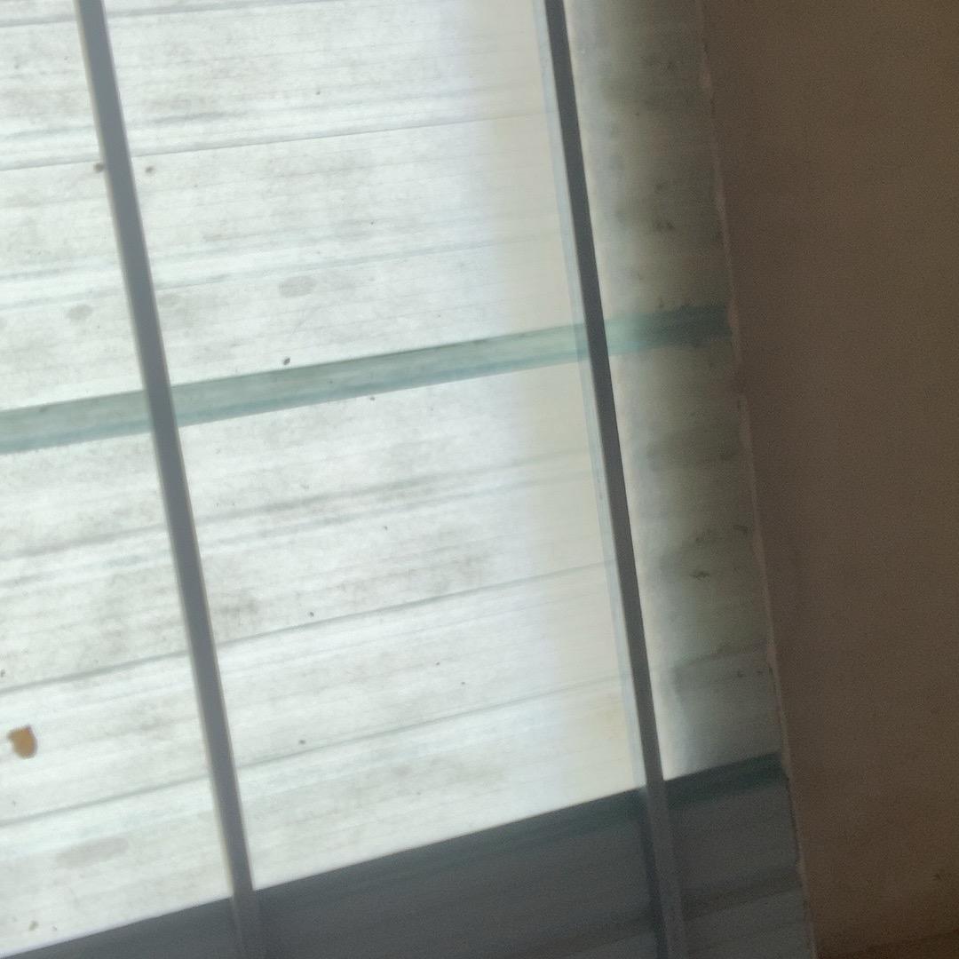 还经常吃呢