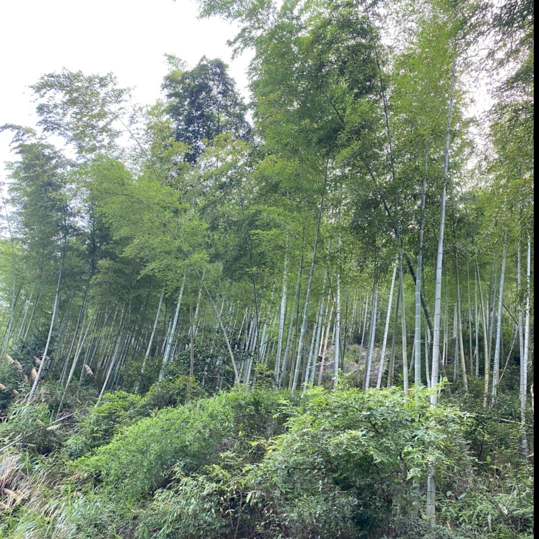 永恒