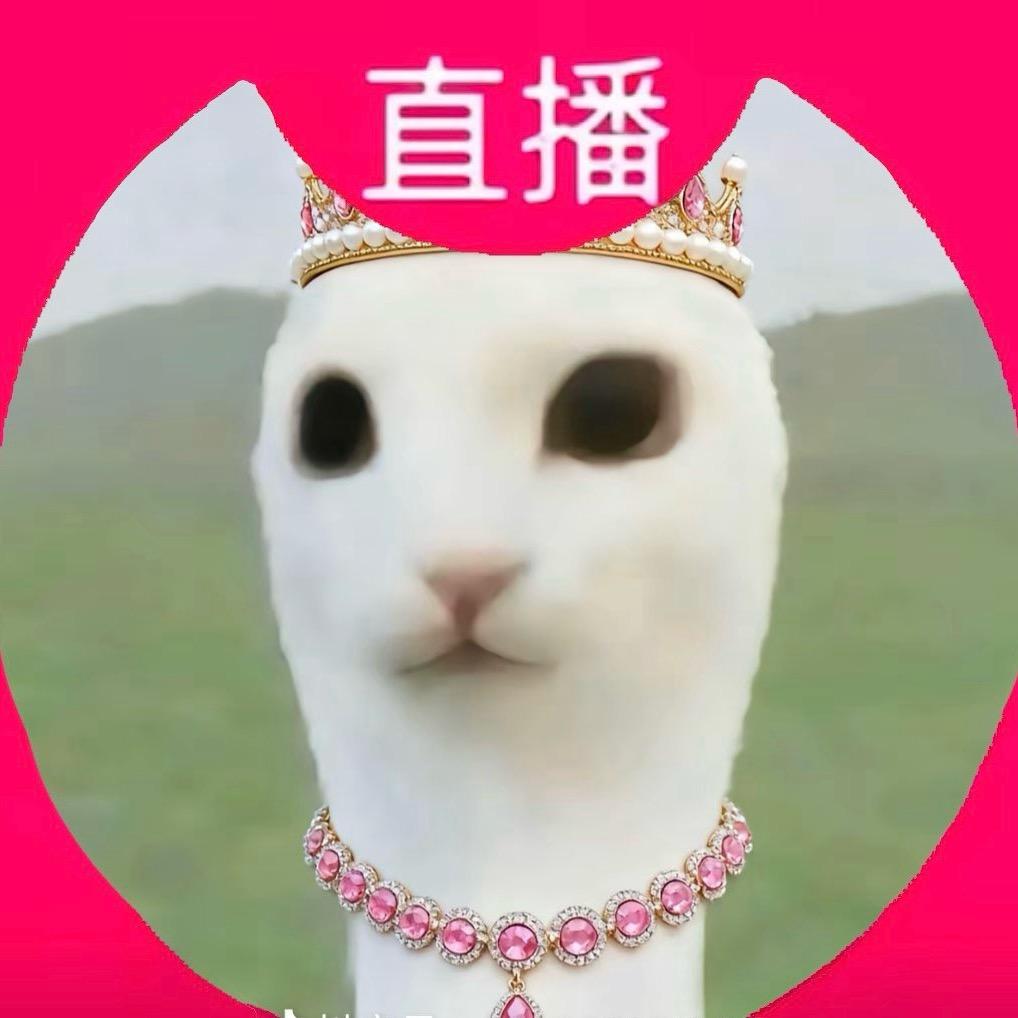 小鱼（审美积累中）