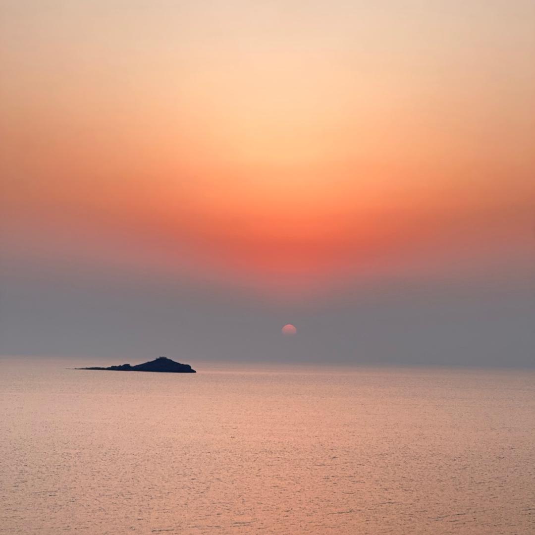 杨佳音