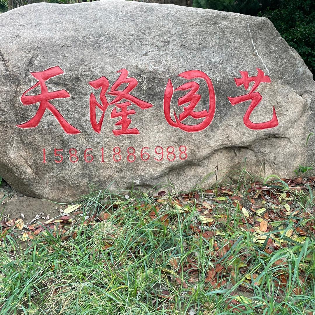 常州（天隆园艺）
