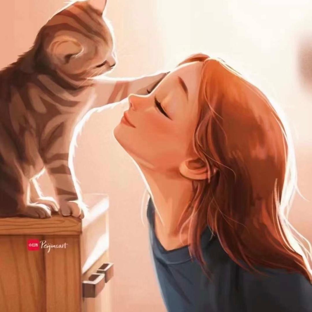 飞菲