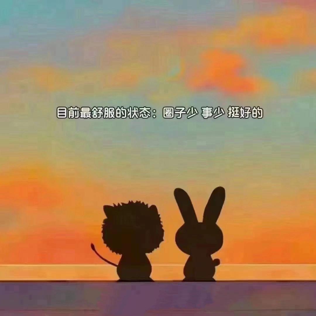 刺猬🦔