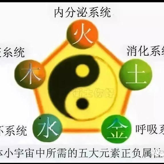 后来距上头像