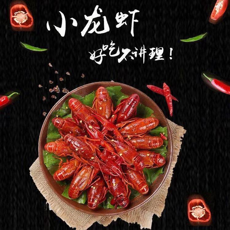 大海DY
