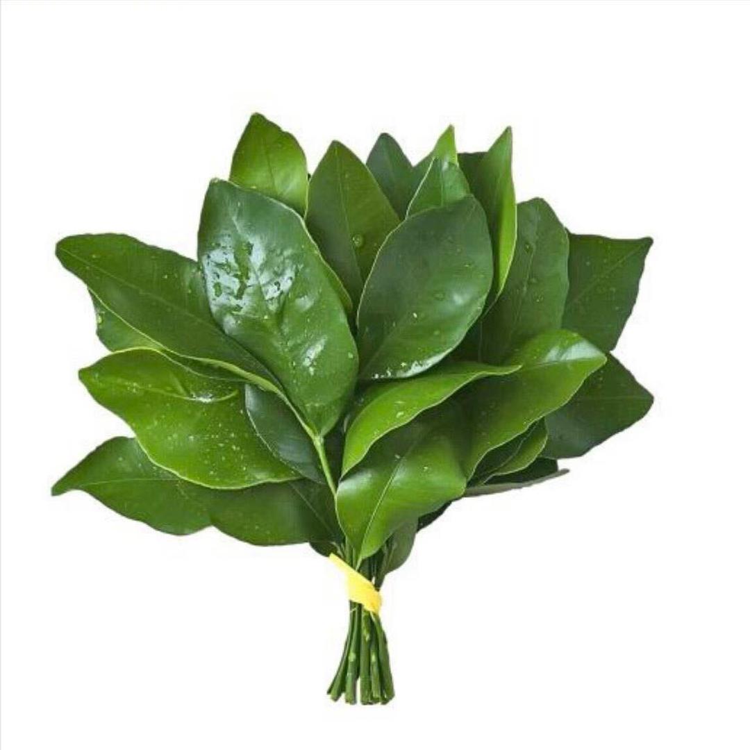 不瘦30斤不改名