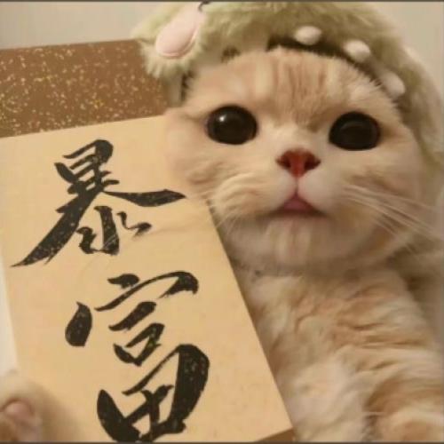 集美的贴贴