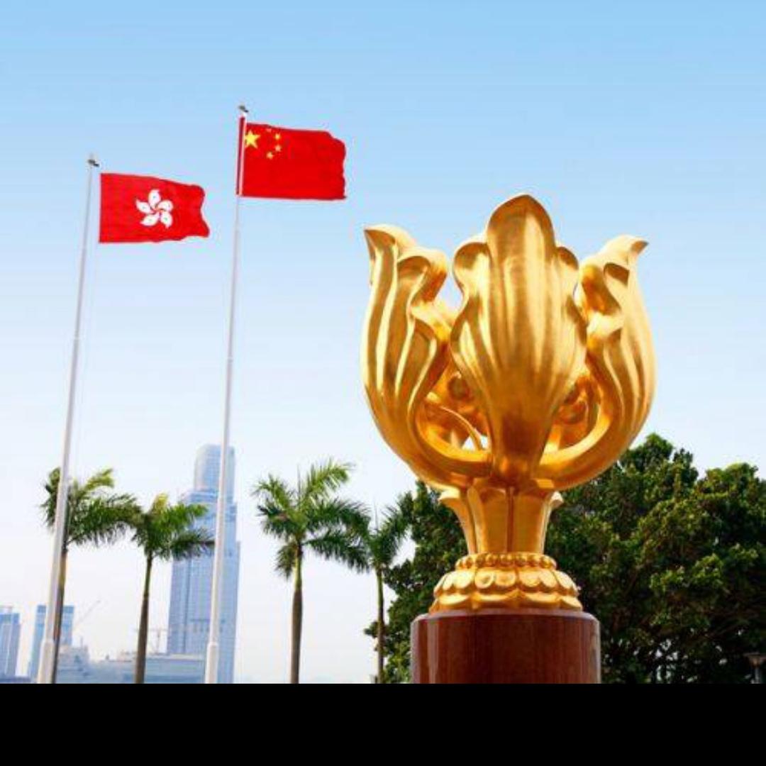 香港磕哥