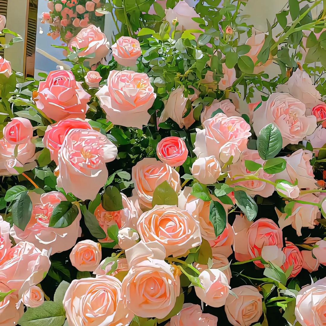 66潮鞋