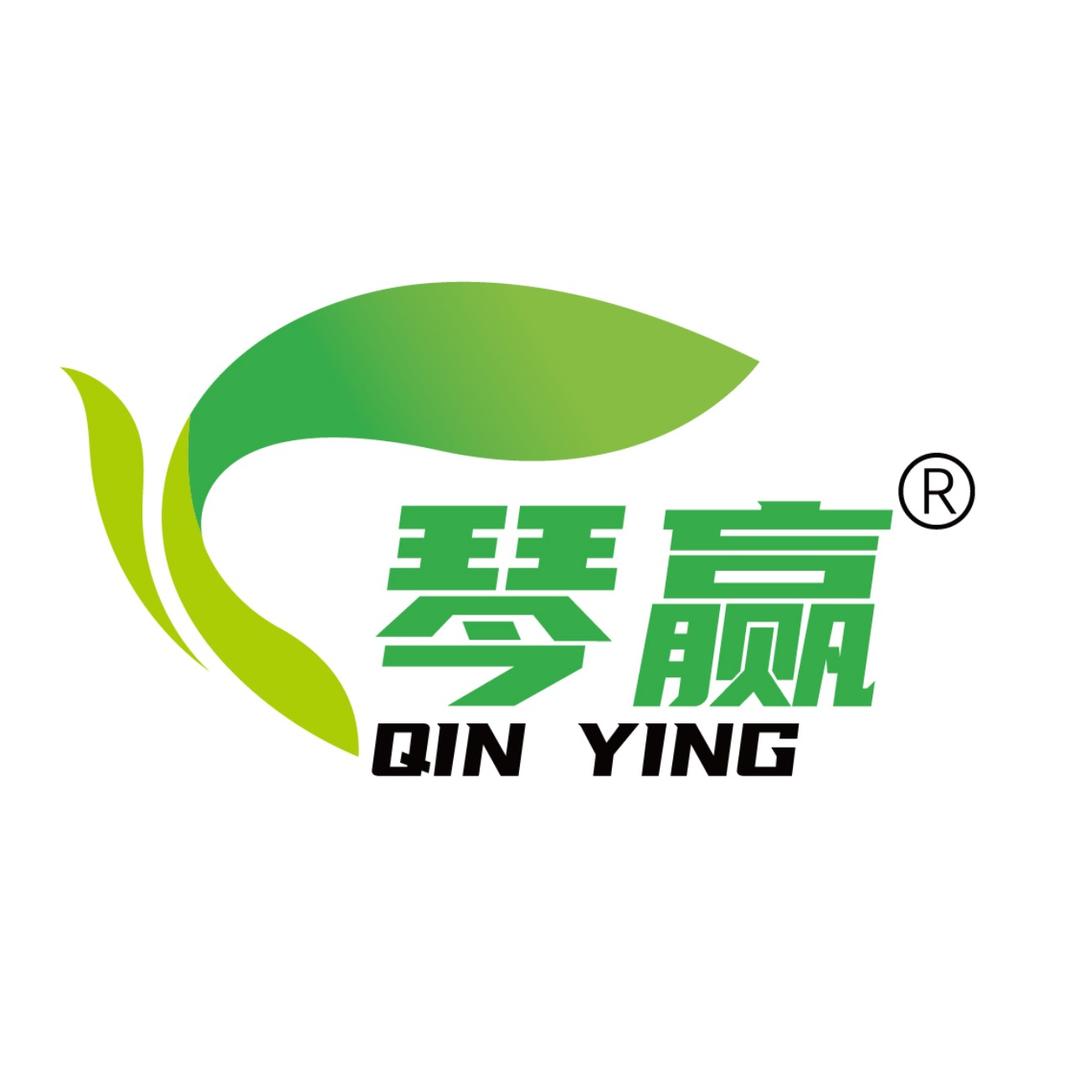 琴赢