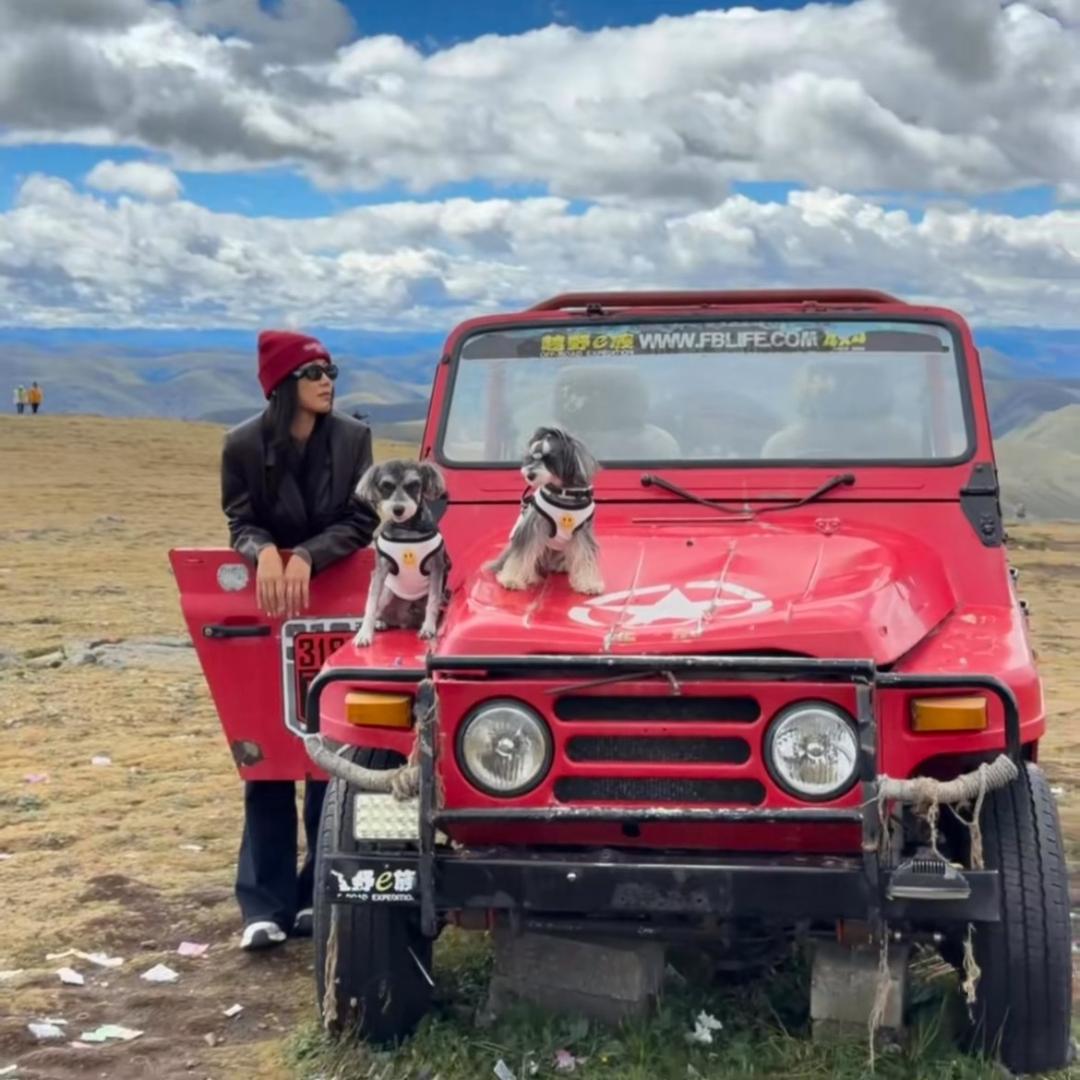 (^з^)-☆ 小小小小小小啵baby