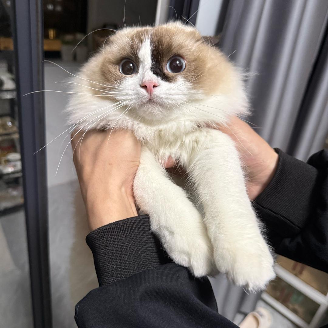 舒晴