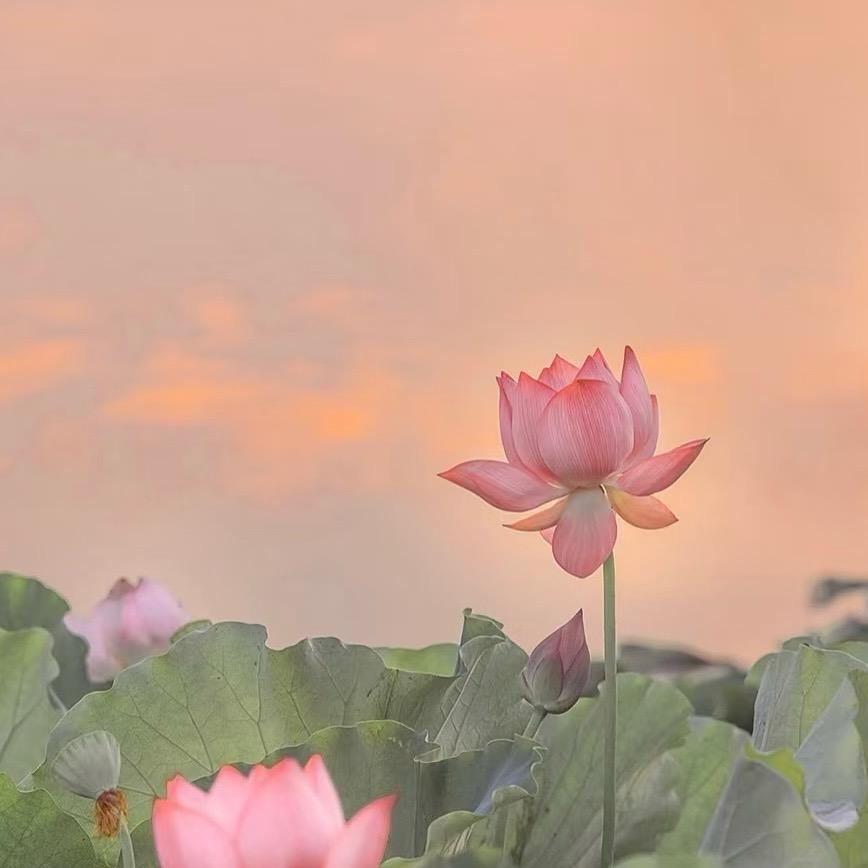 雨后彩虹🌈
