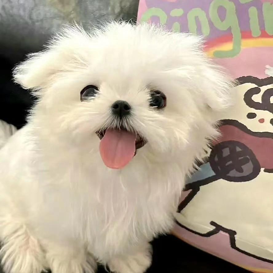 粥粥ⁱ