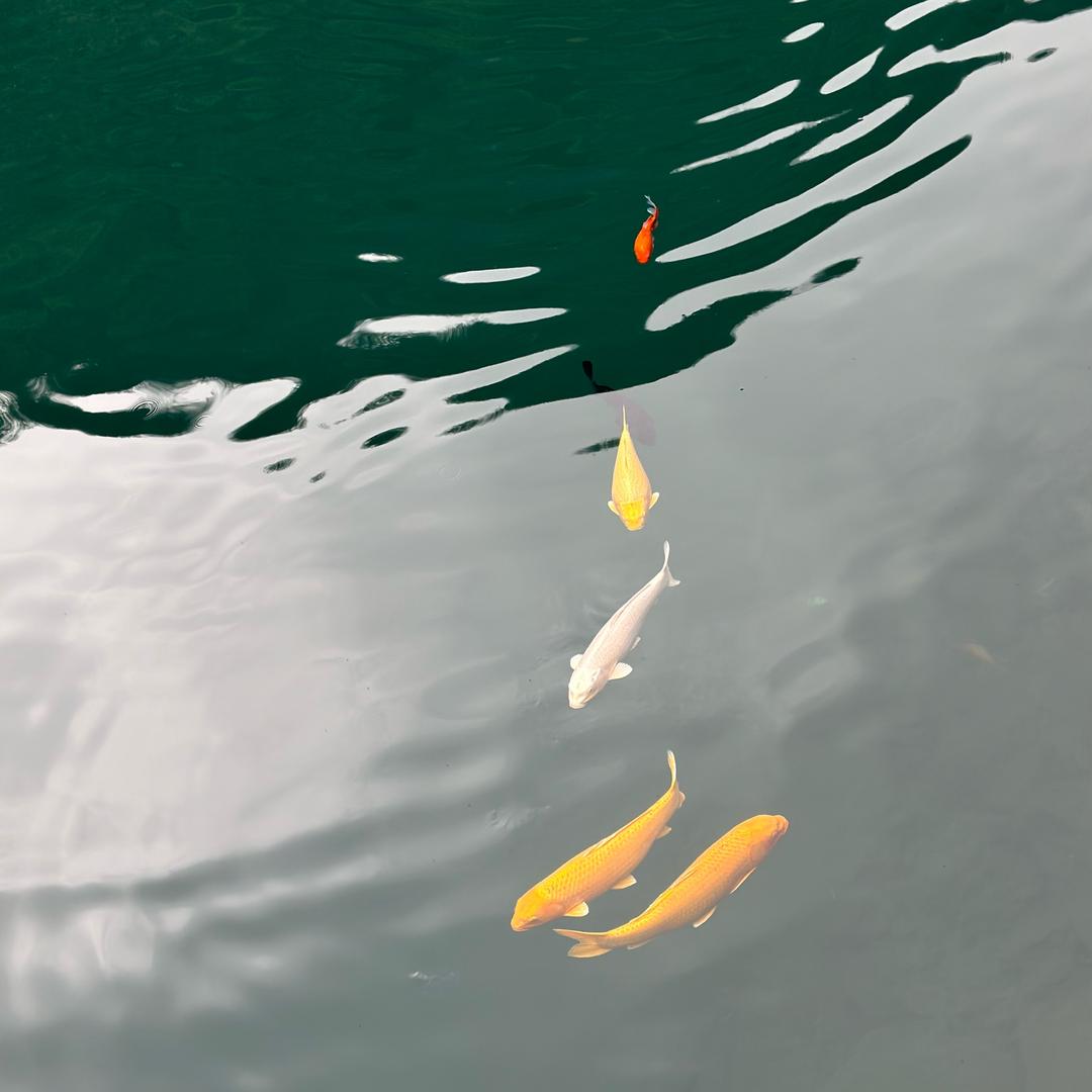 箴颜皮肤管理(恒美嘉园店)专用号