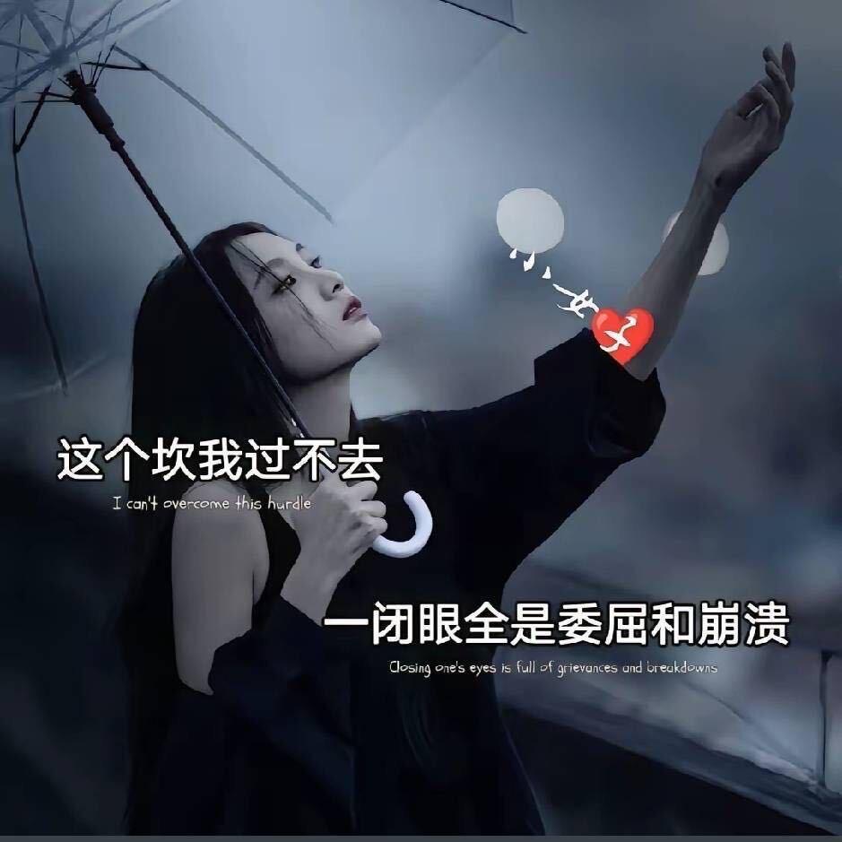 熏衣草🌷