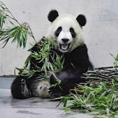 🌈爱吃桂花糖🌈