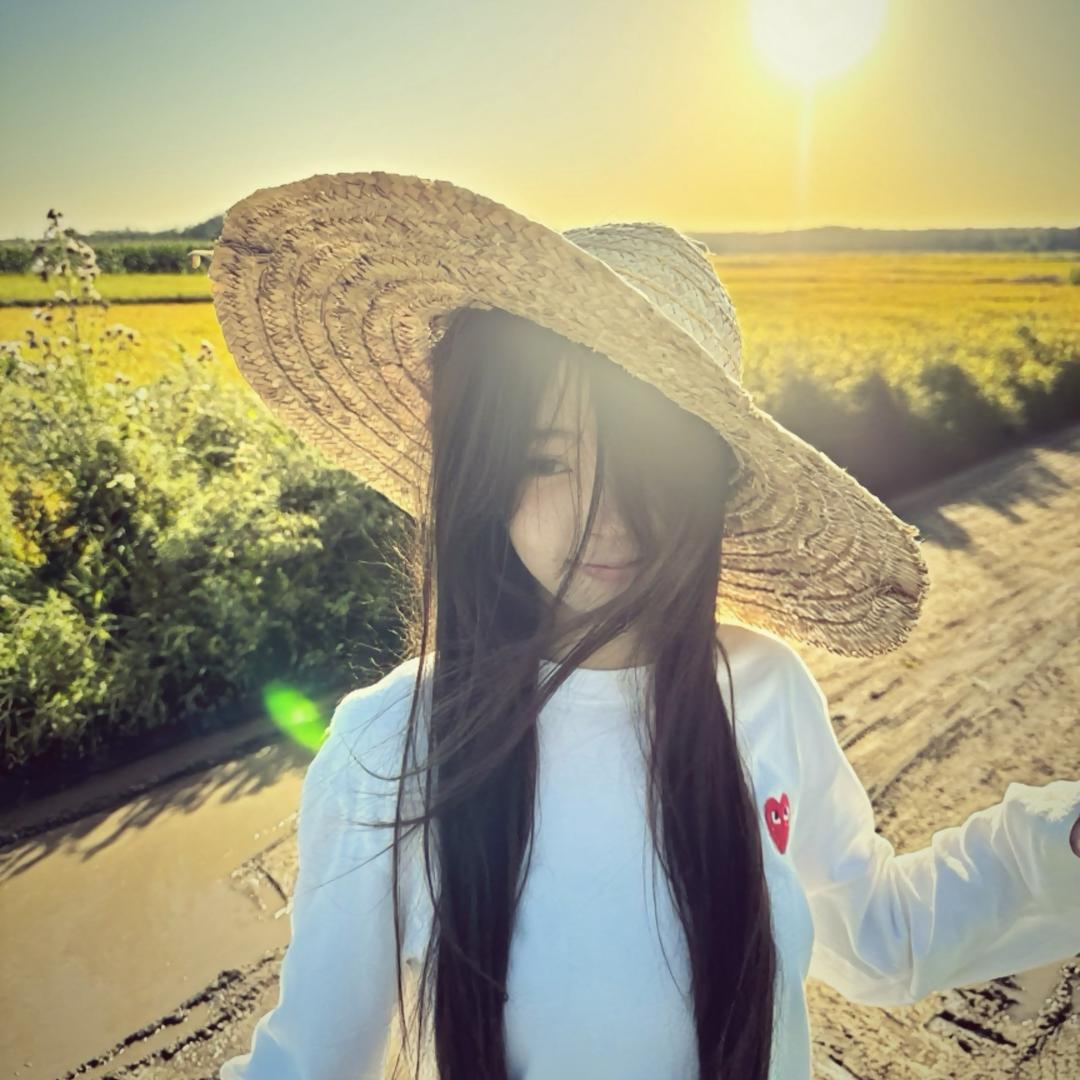 一把椅子