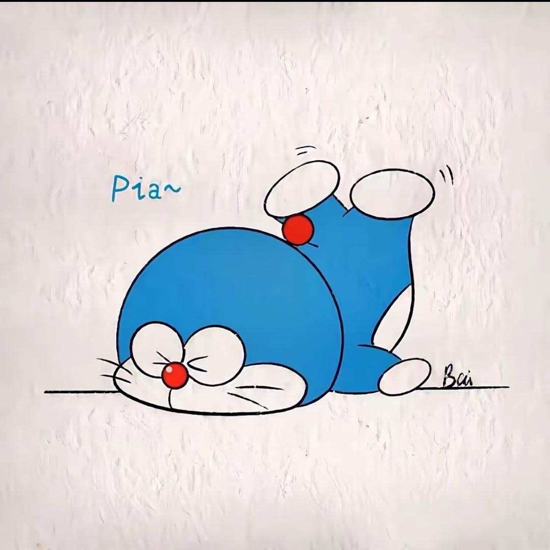 团✨