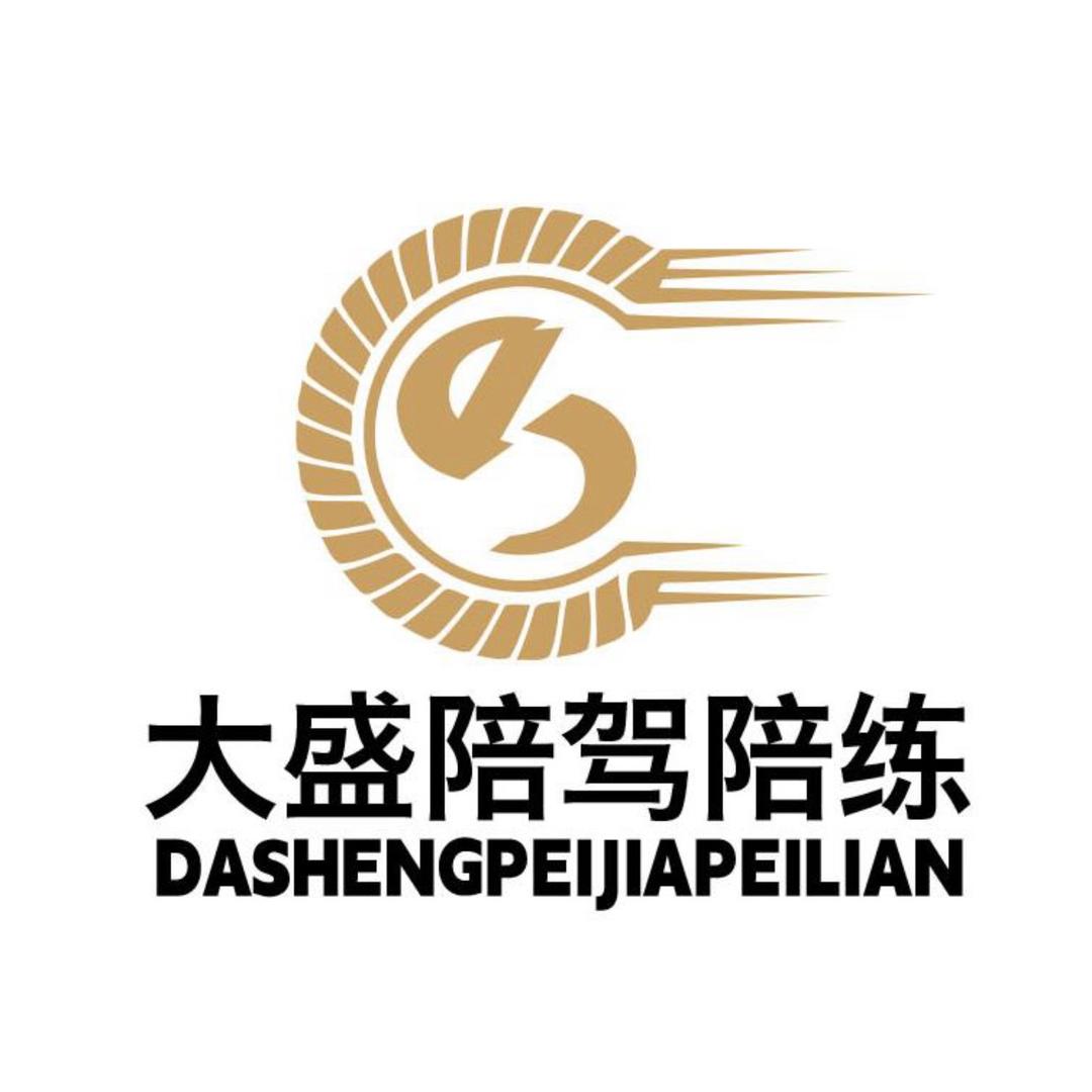 上海大盛汽车陪驾（叶叶）