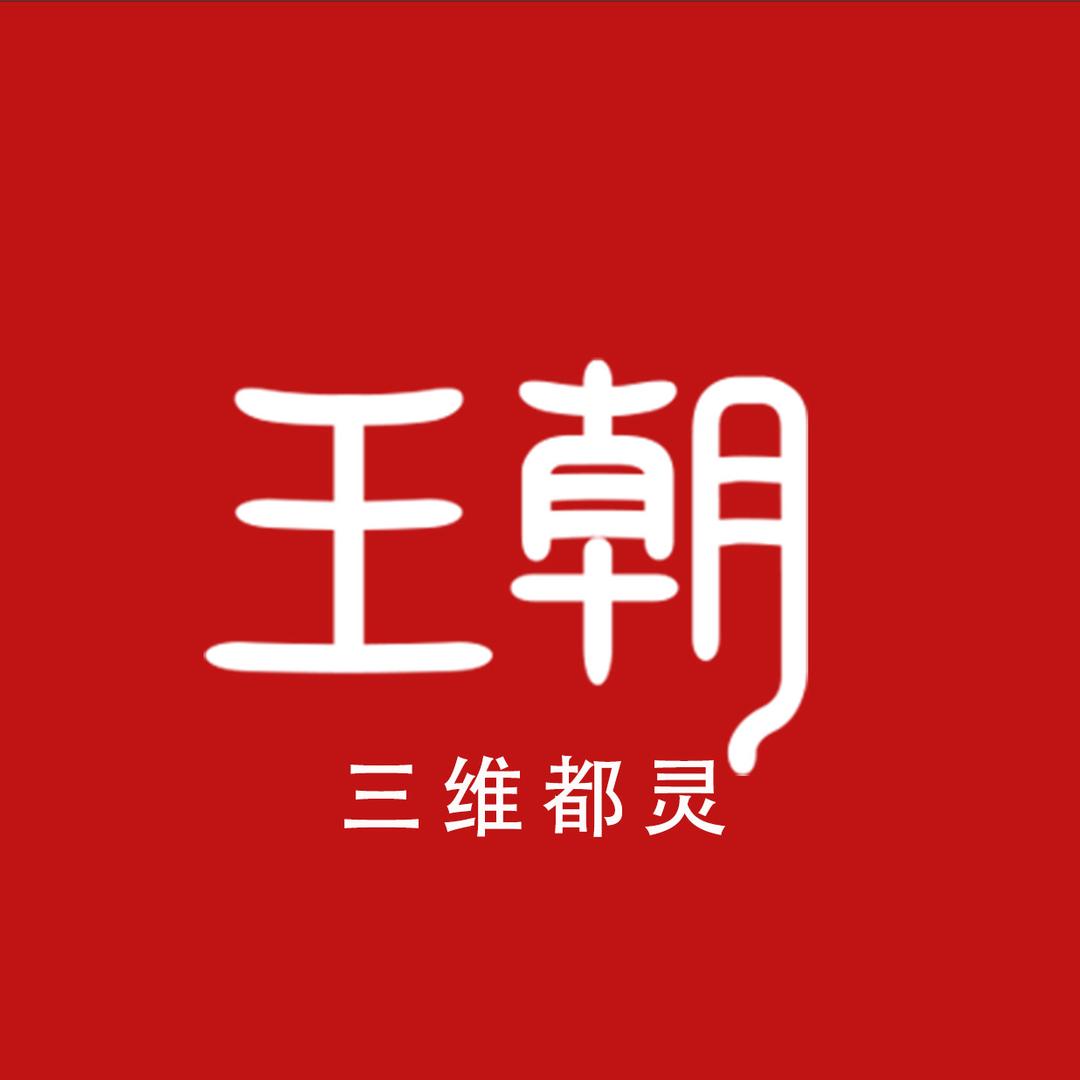 比亚迪王朝｜深圳三维都灵