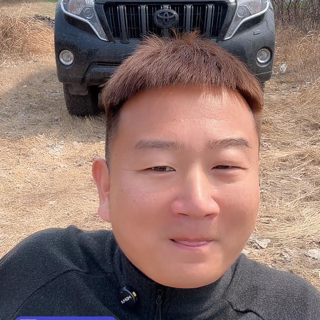 /森林绿