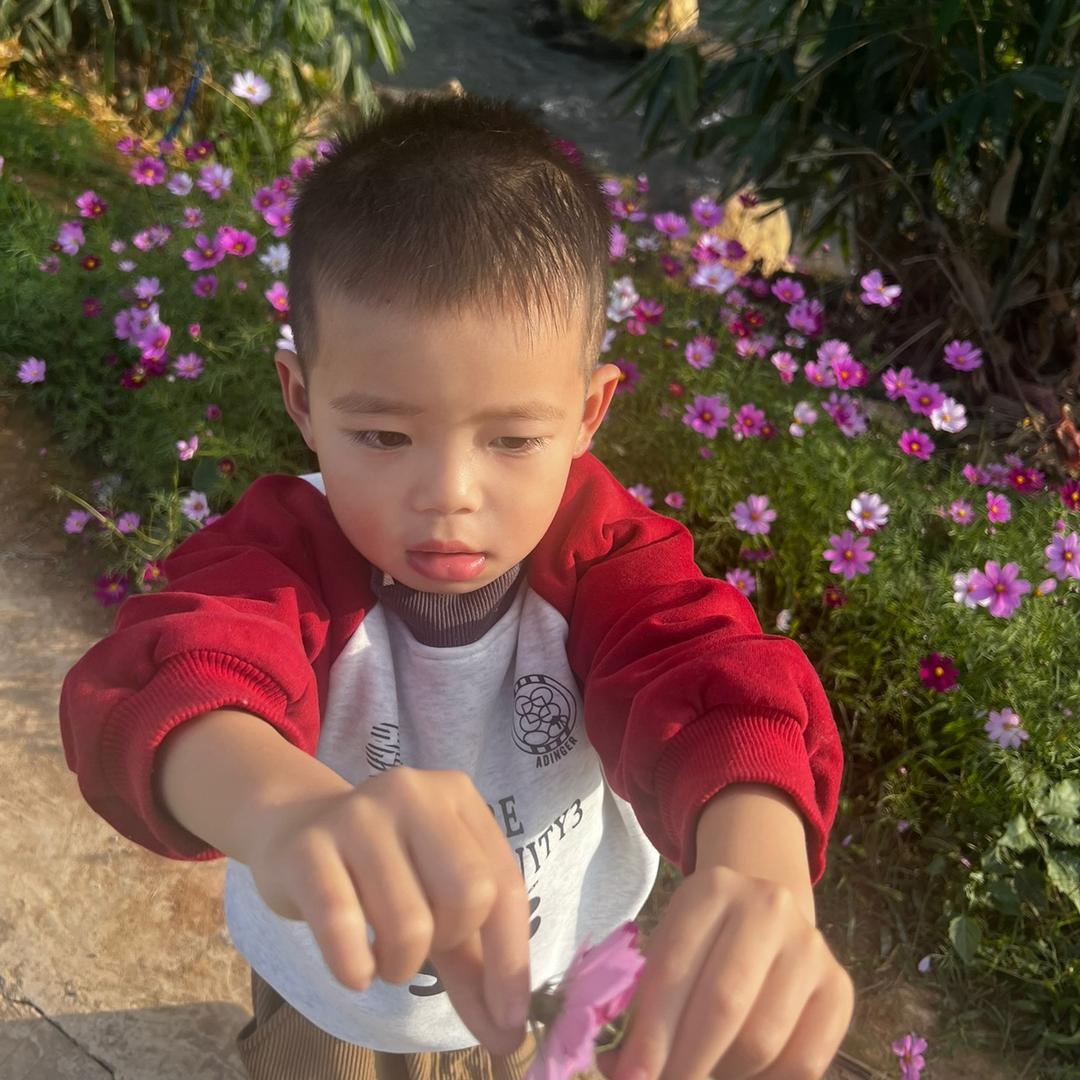 毛毛妈在努力