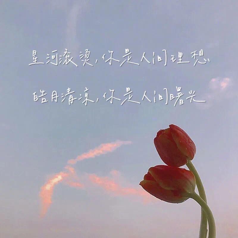 美好未来.
