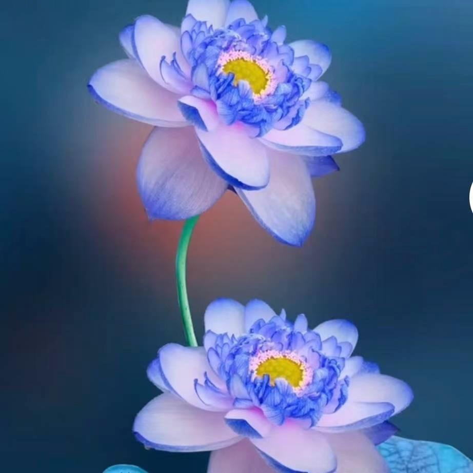 火水灯