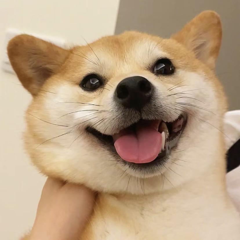 伴生