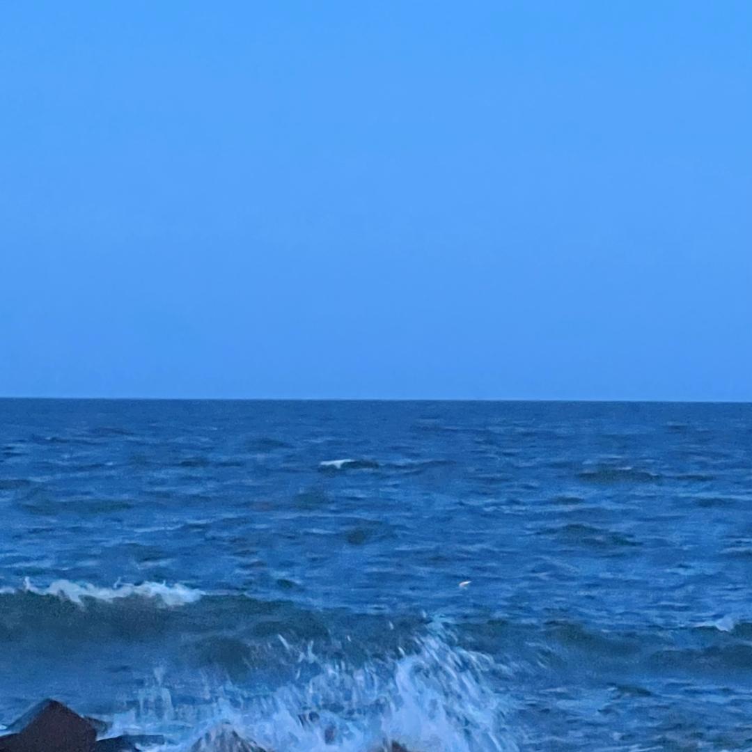 咸水粿（清醒菌）