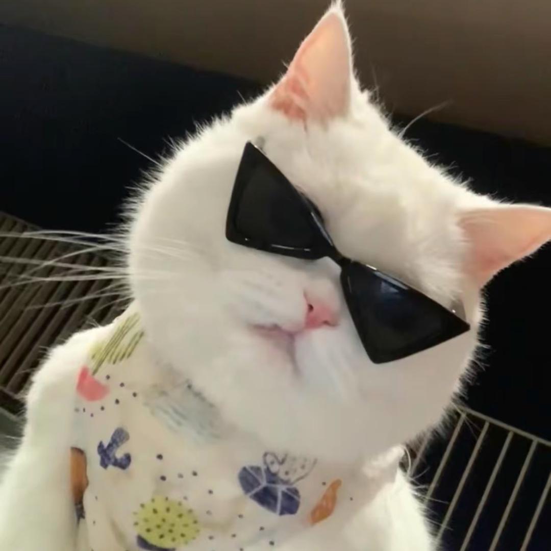 是小号呀