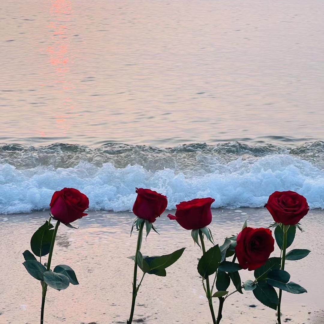 李哈哈是美少女