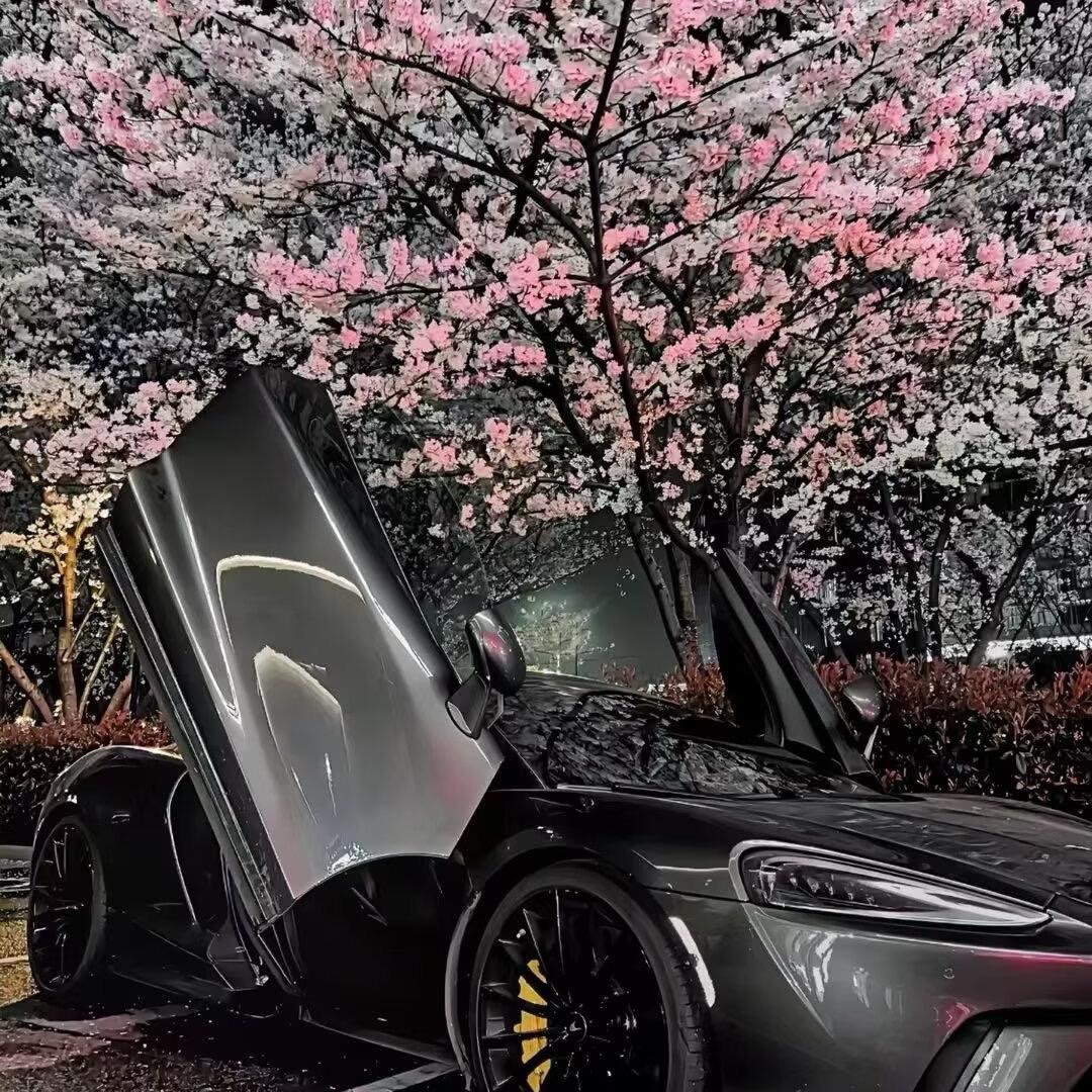 刘小曦呀？