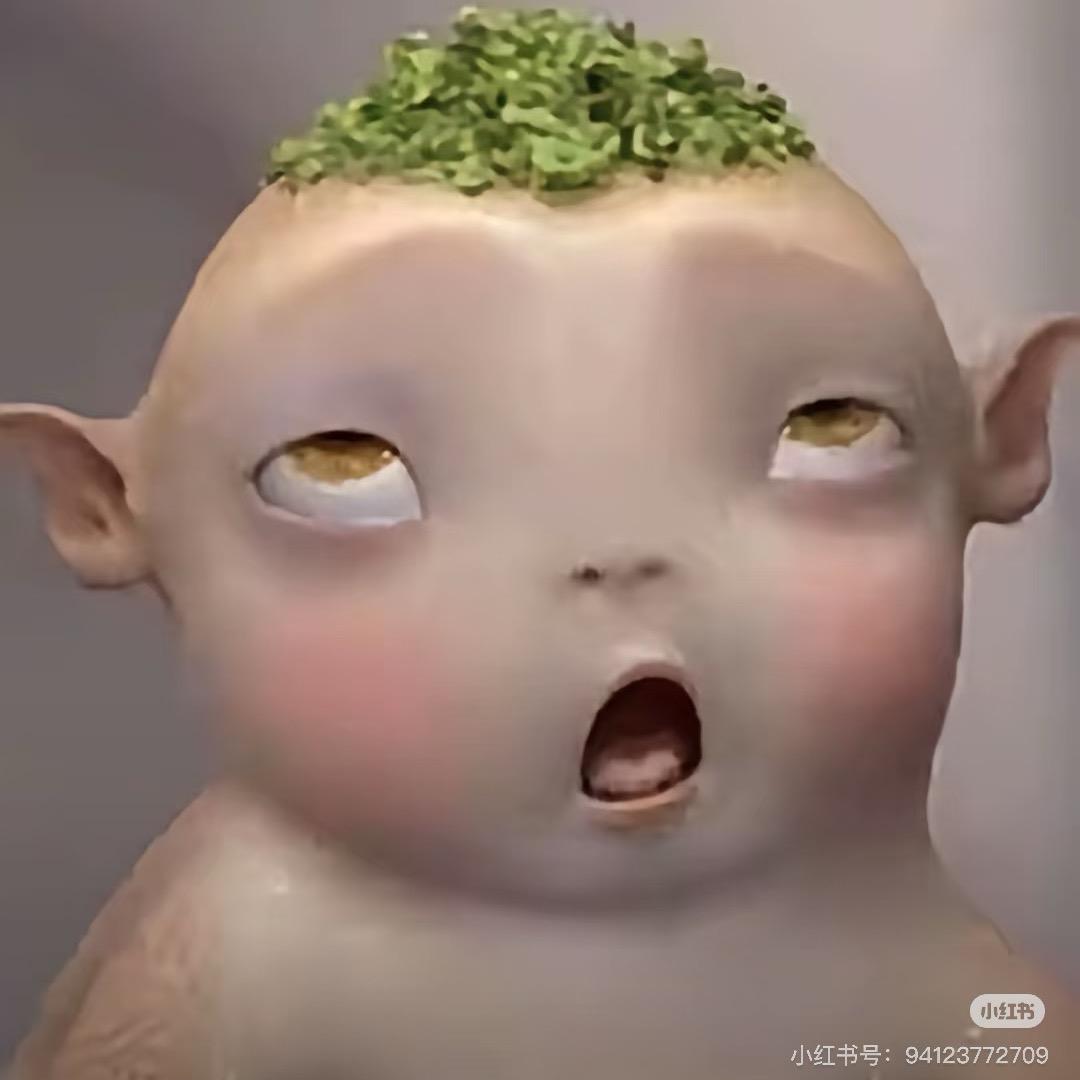 小君君