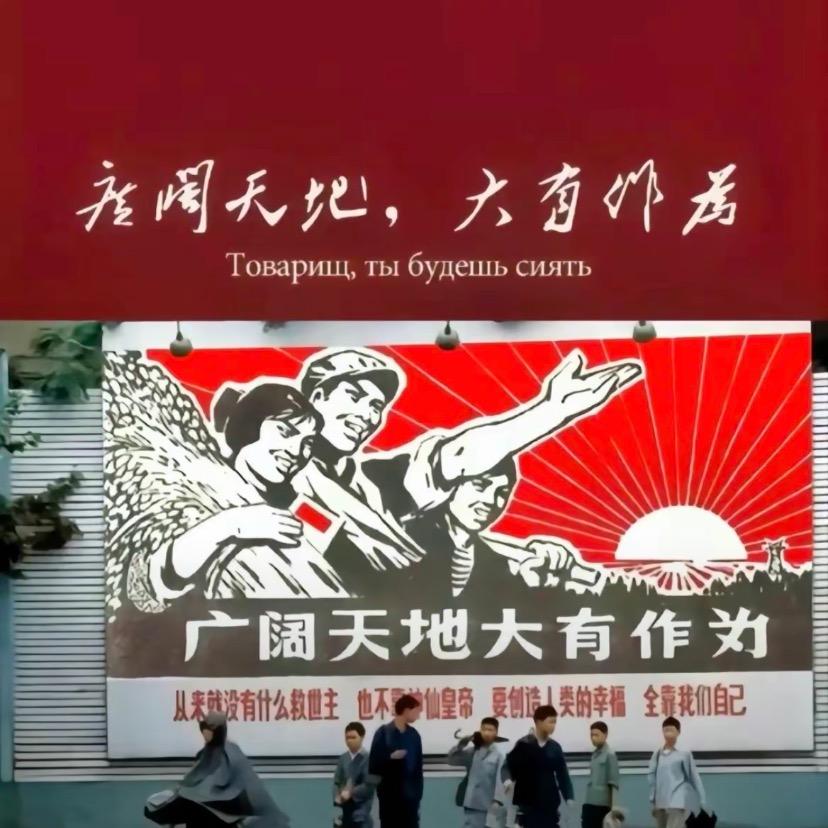 迟暮..