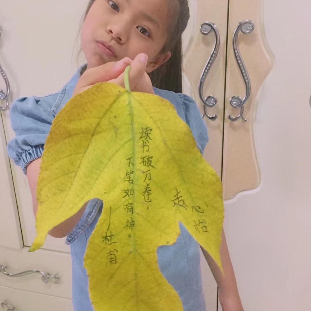 赵心怡的梦想