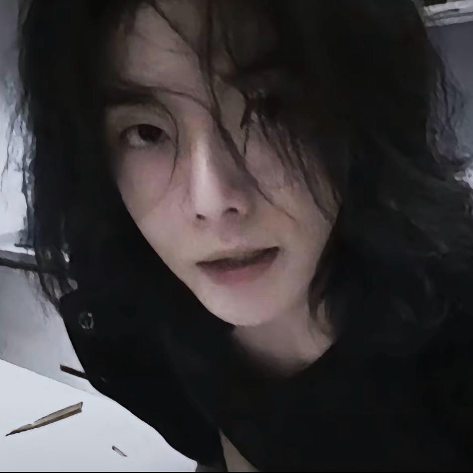 小狮子是只喵