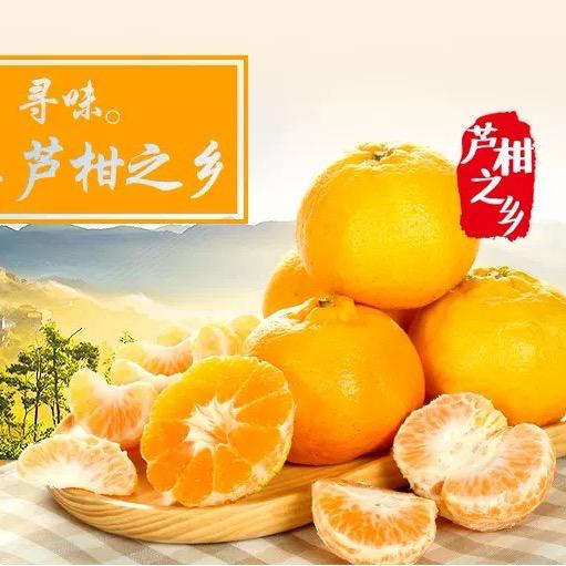 永春芦柑助农