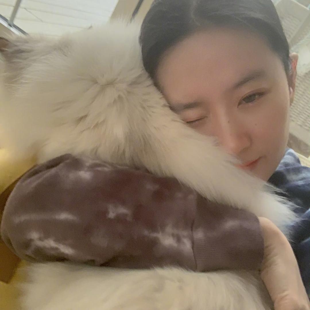 就阿鱼了