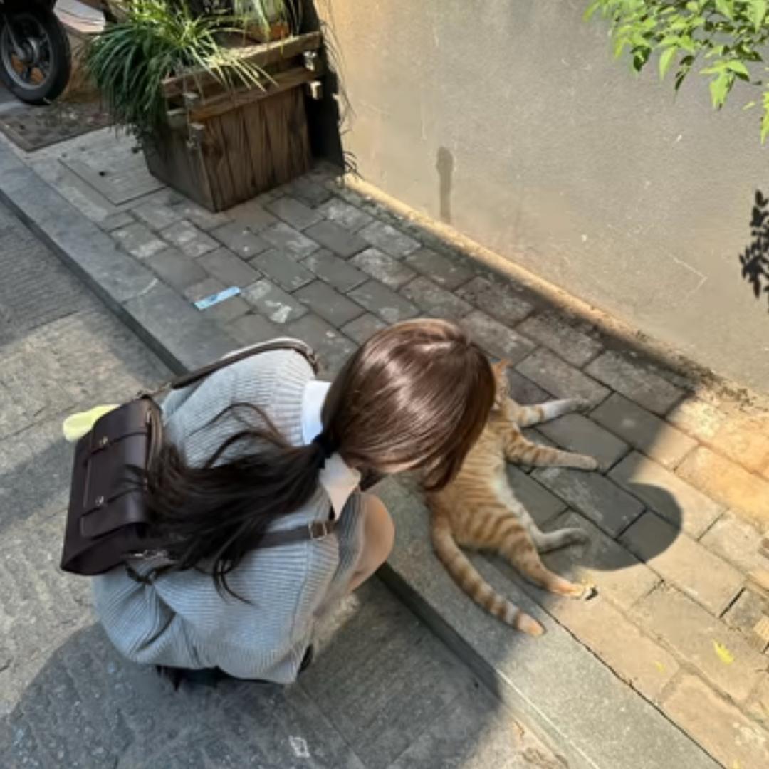 睡觉大王^_^