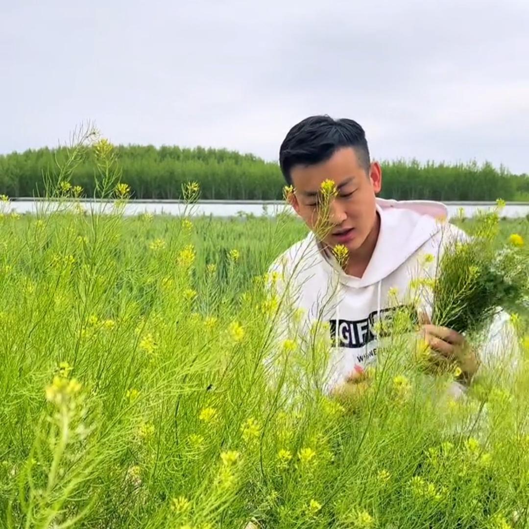 李同学日记