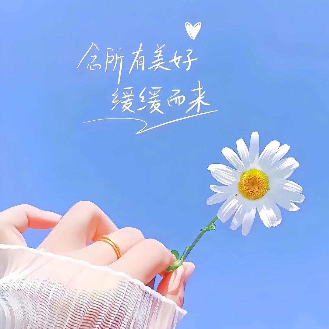 啥呼呼