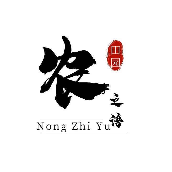 小蔡爱种菜