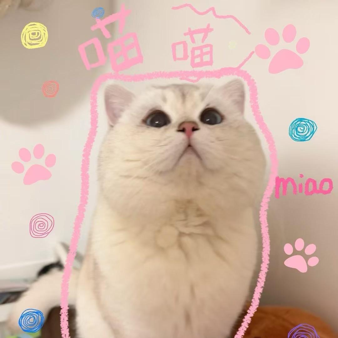 小鬼33