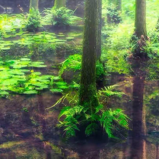 燕艳
