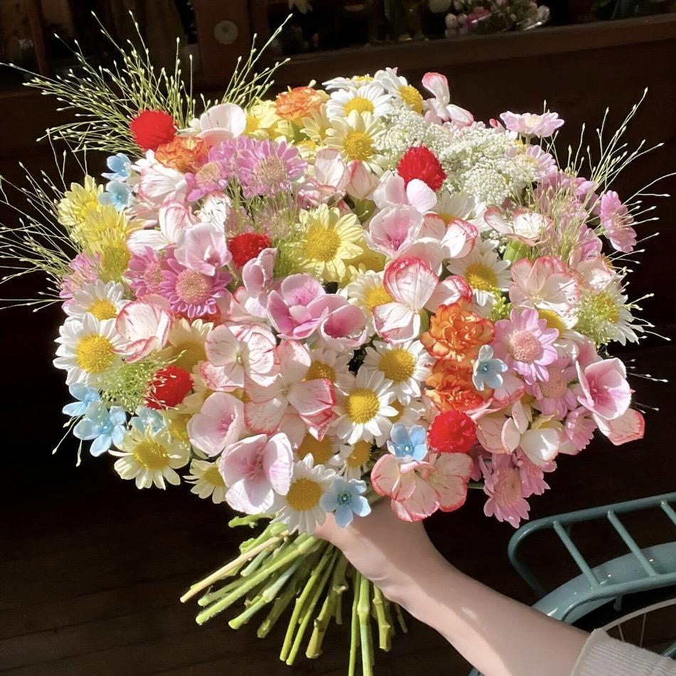 玫瑰小姐生活鲜花