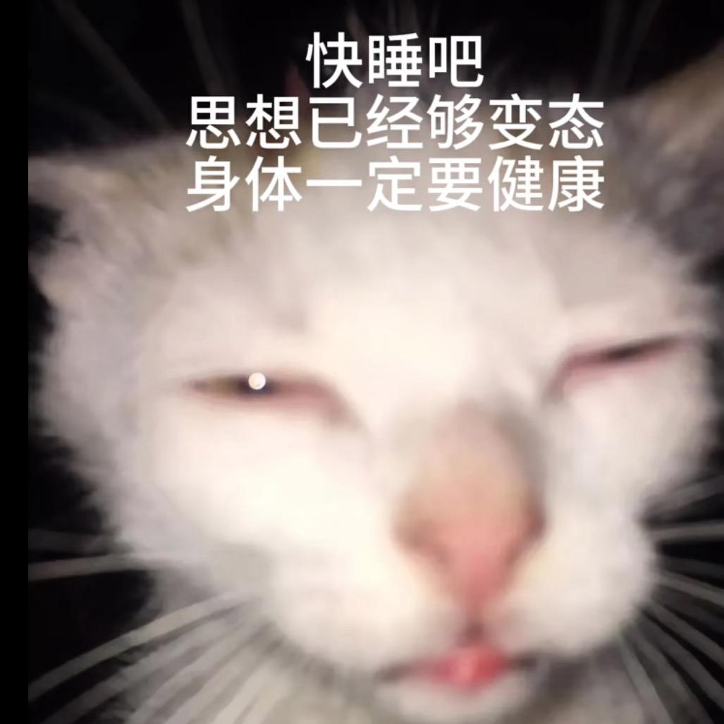 俗语和